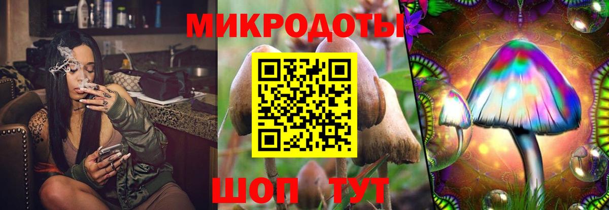 Псилоцибиновые грибы Psilocybine cubensis Выкса